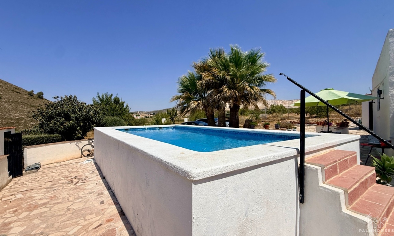 Venta - Comercial - Algueña