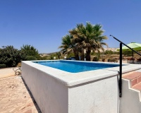 Venta - Comercial - Algueña