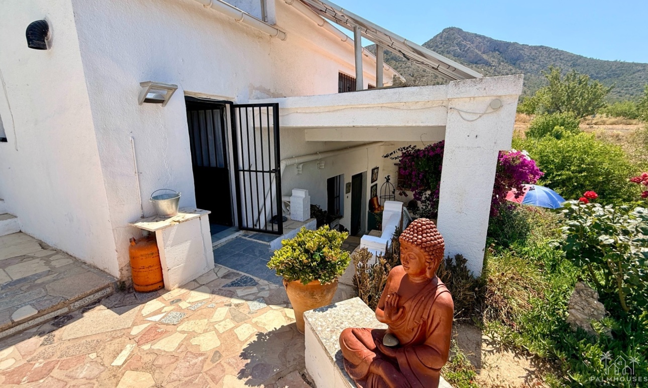 Venta - Comercial - Algueña