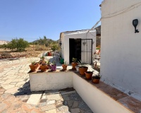 Venta - Comercial - Algueña