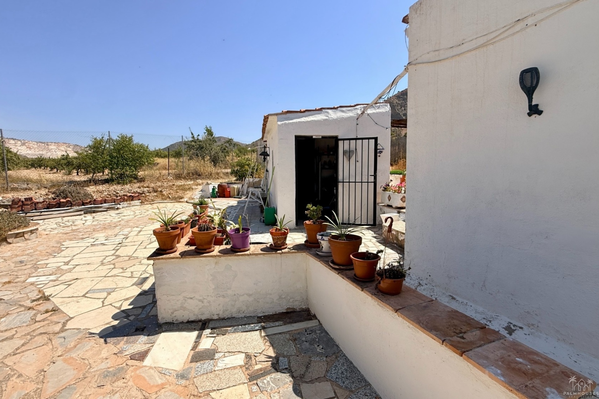 Venta - Comercial - Algueña