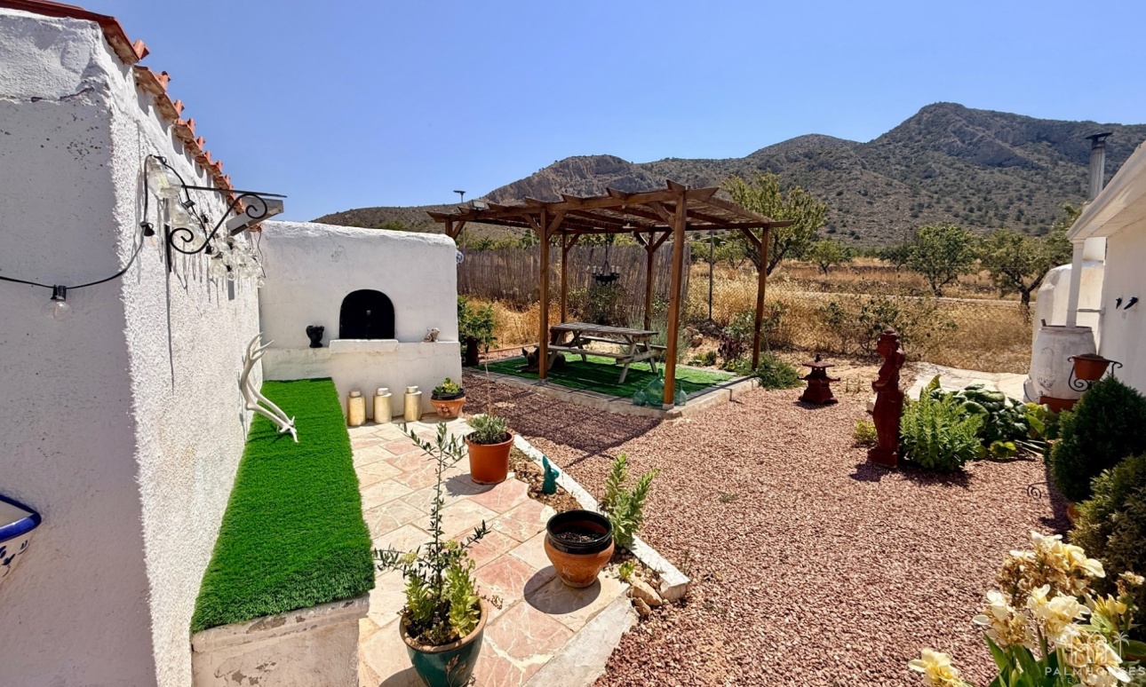 Venta - Comercial - Algueña