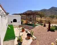 Venta - Comercial - Algueña