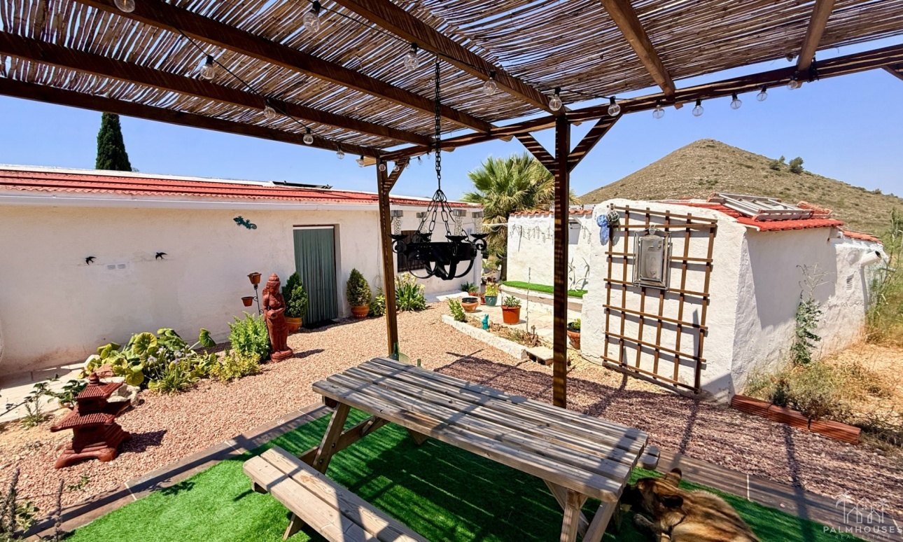 Venta - Comercial - Algueña