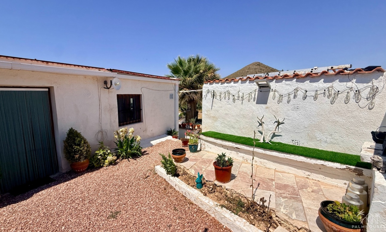 Venta - Comercial - Algueña