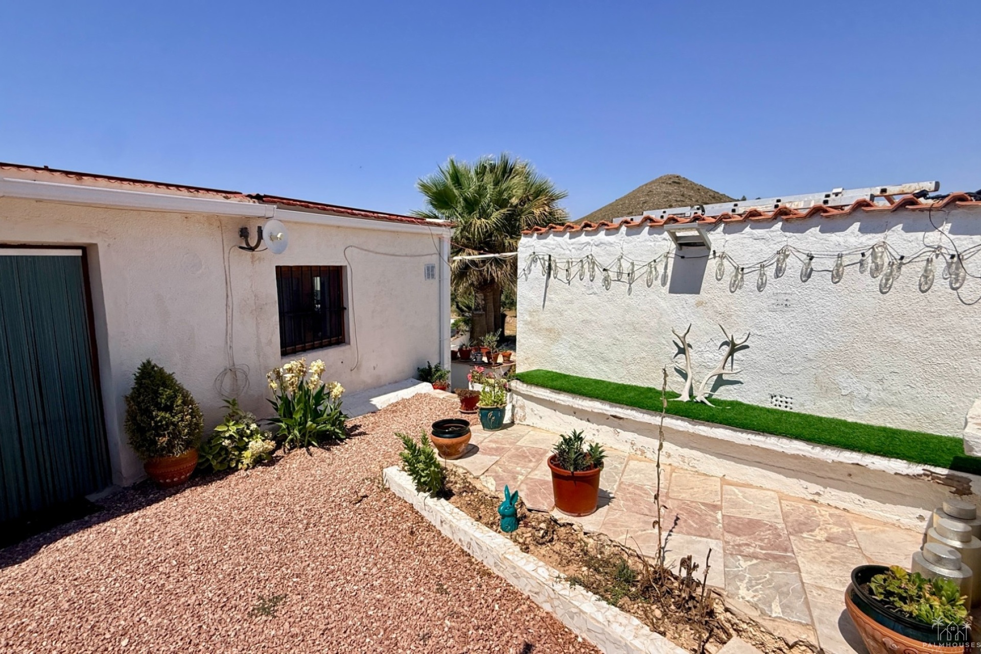 Venta - Comercial - Algueña