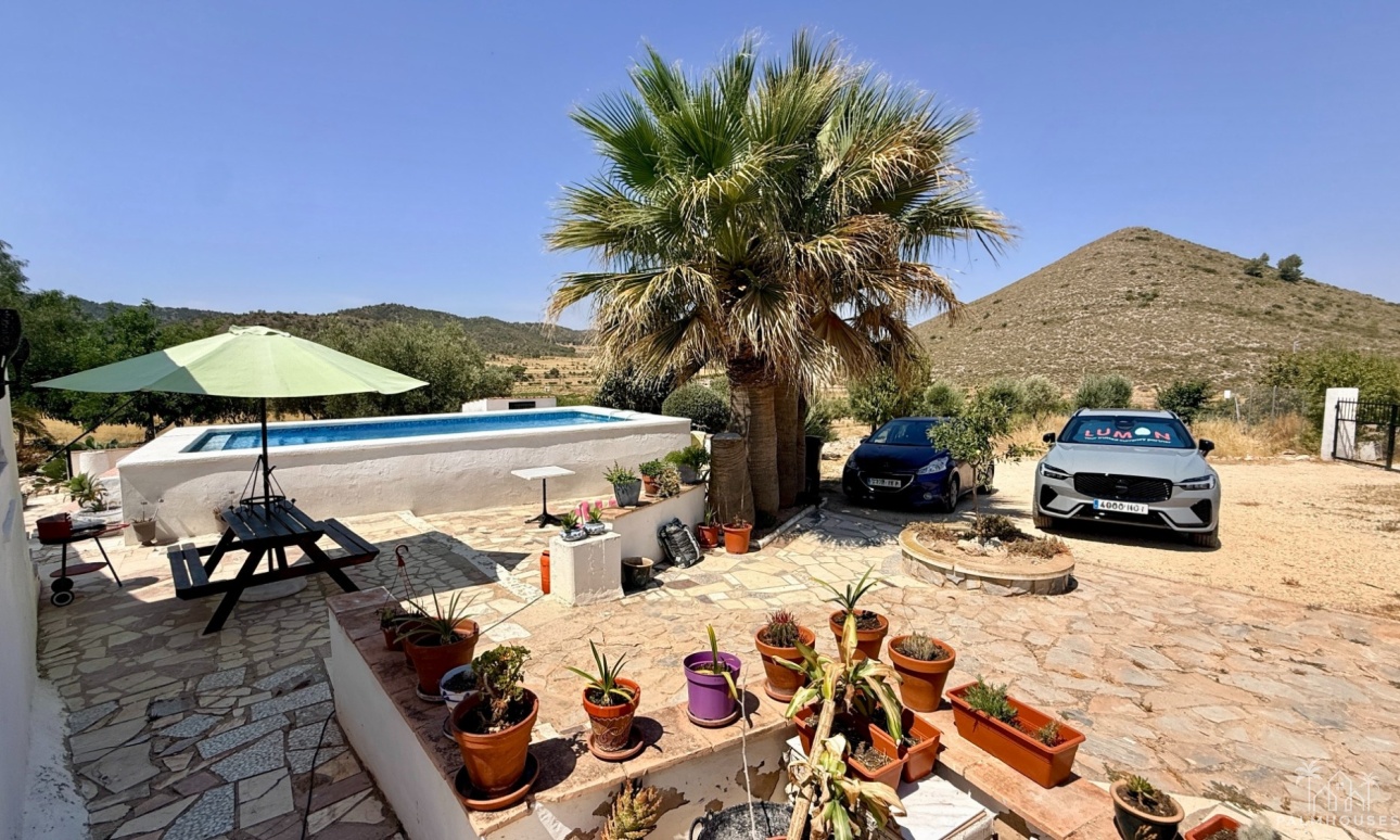 Venta - Comercial - Algueña