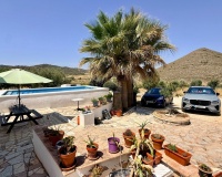 Venta - Comercial - Algueña