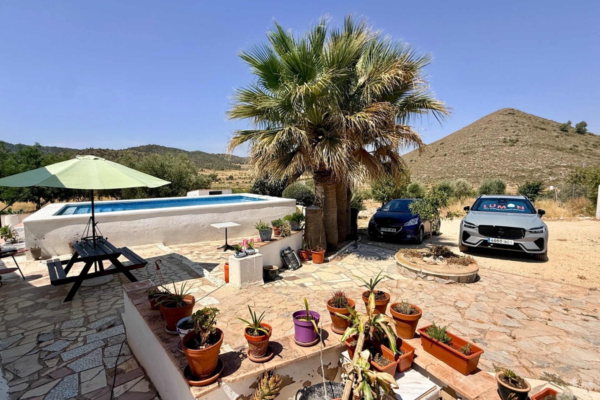 Venta - Comercial - Algueña