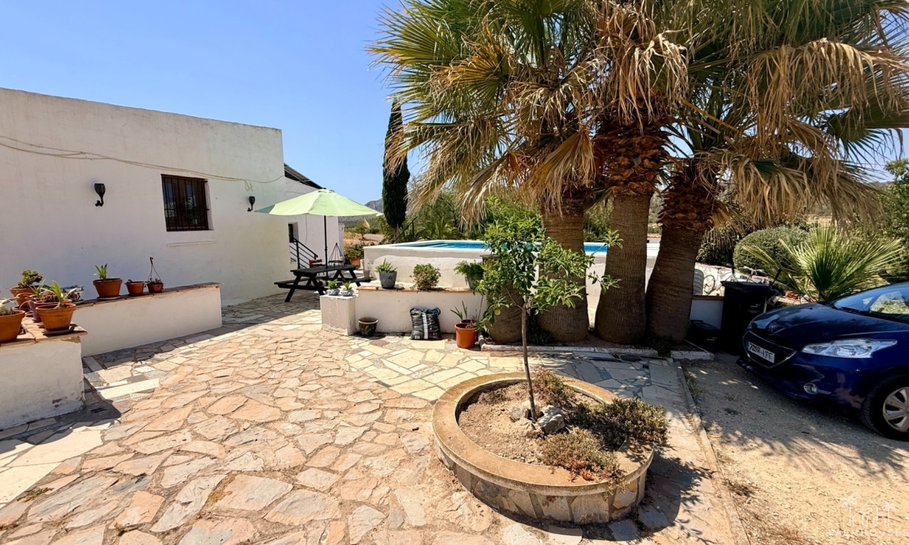 Venta - Comercial - Algueña
