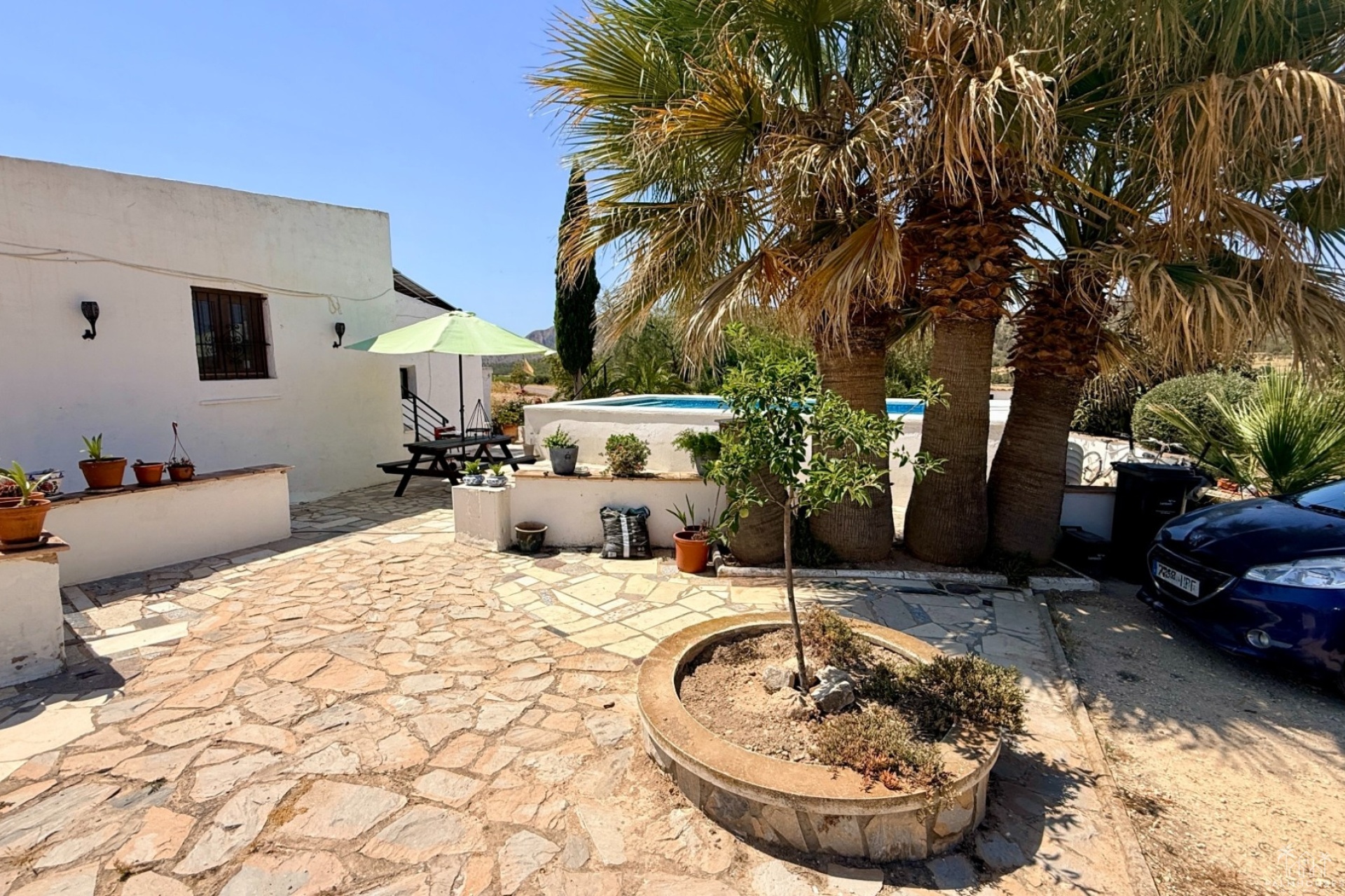 Venta - Comercial - Algueña