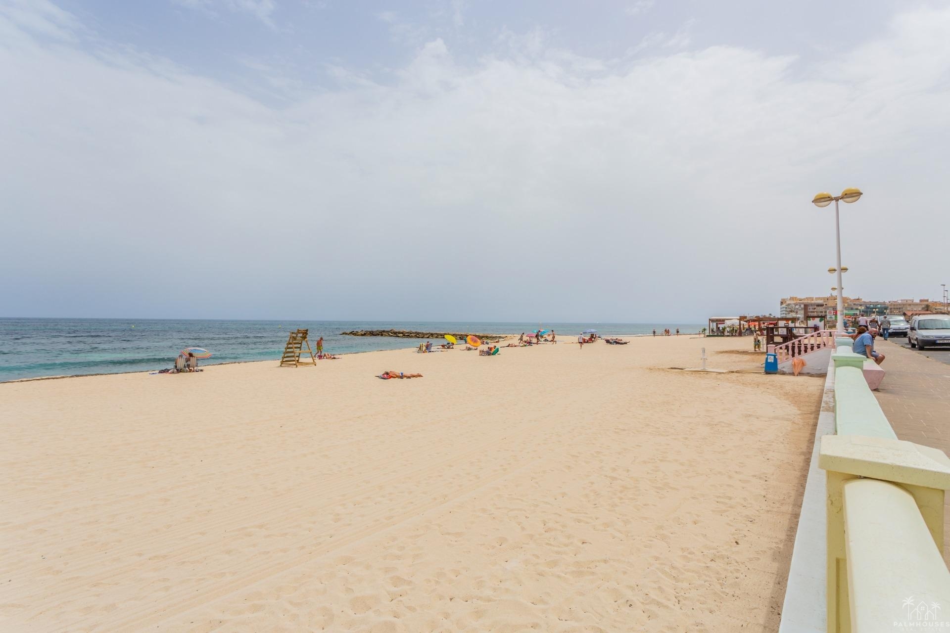 Venta - Comercial - Torrevieja - Center