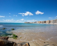 Venta - Comercial - Torrevieja - Center