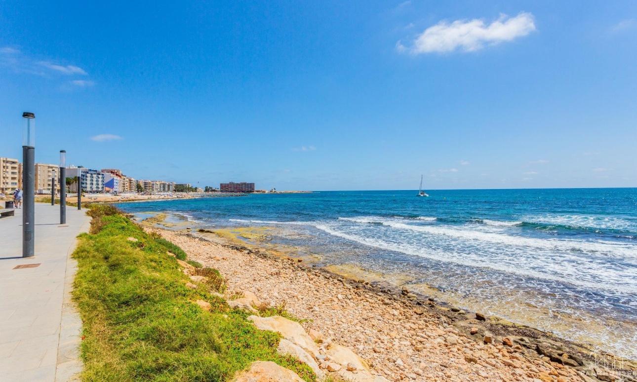 Venta - Comercial - Torrevieja - Center