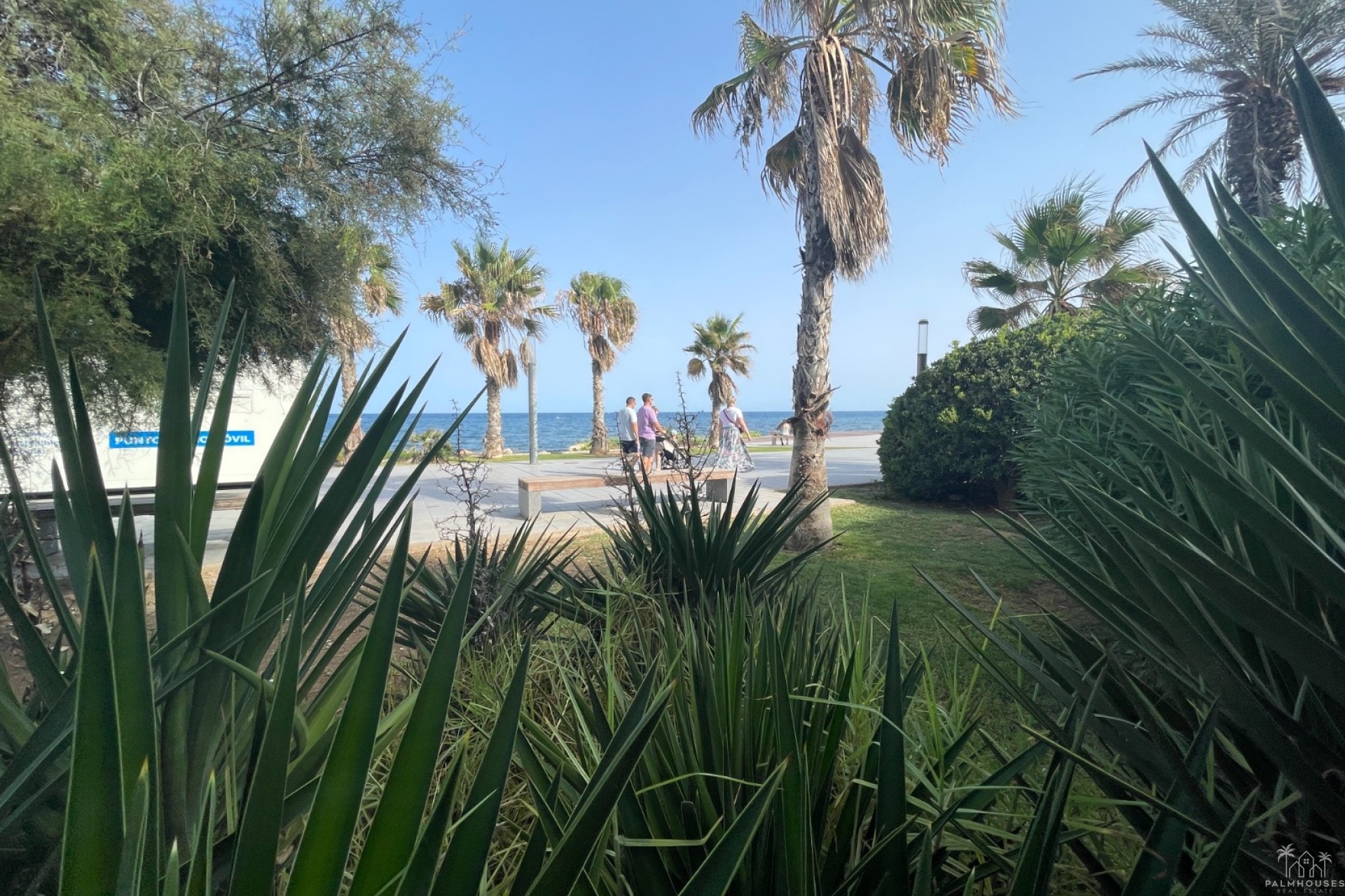 Venta - Comercial - Torrevieja - Comunidad Valenciana