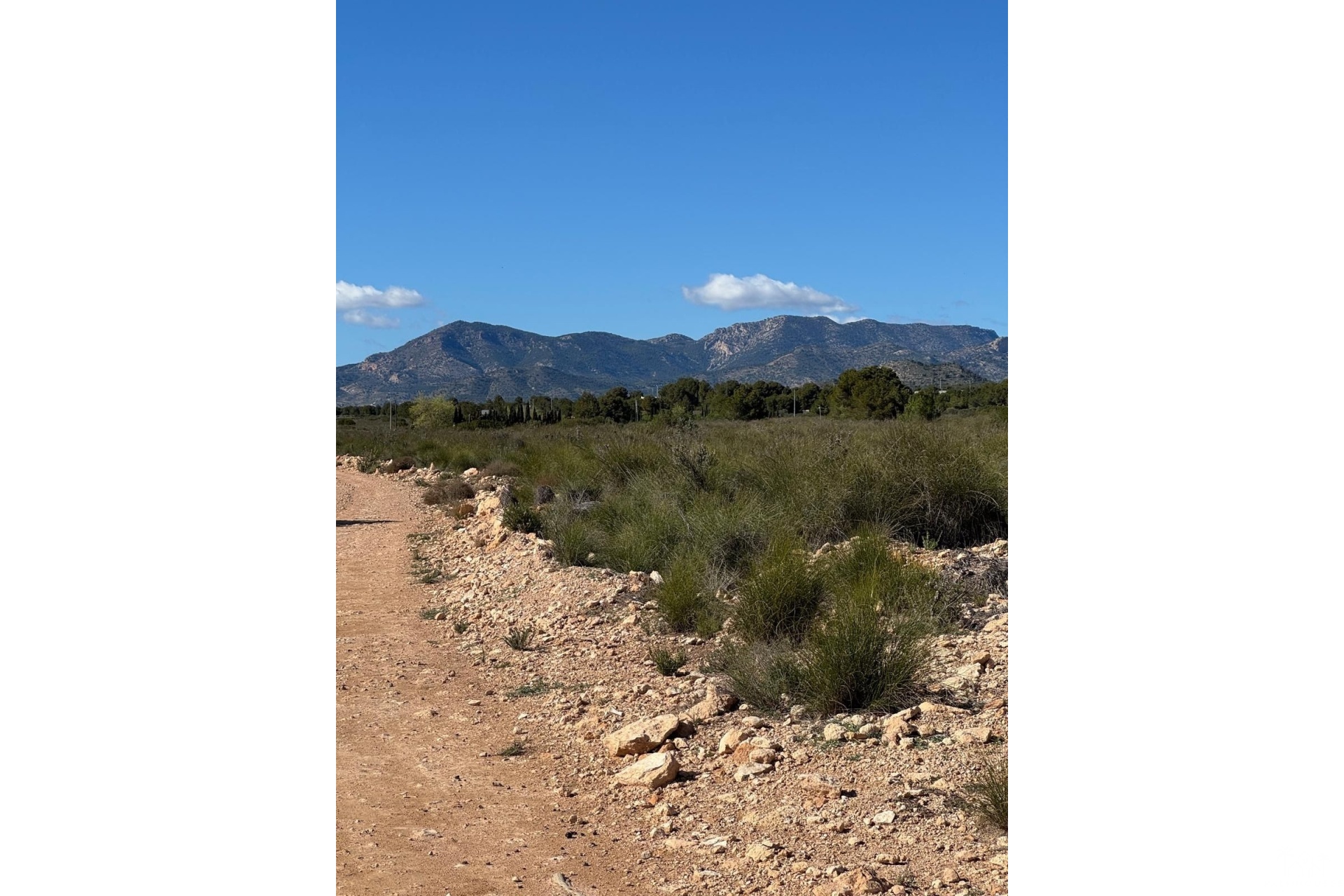 Venta - Country house - Aledo - Aledo Centro