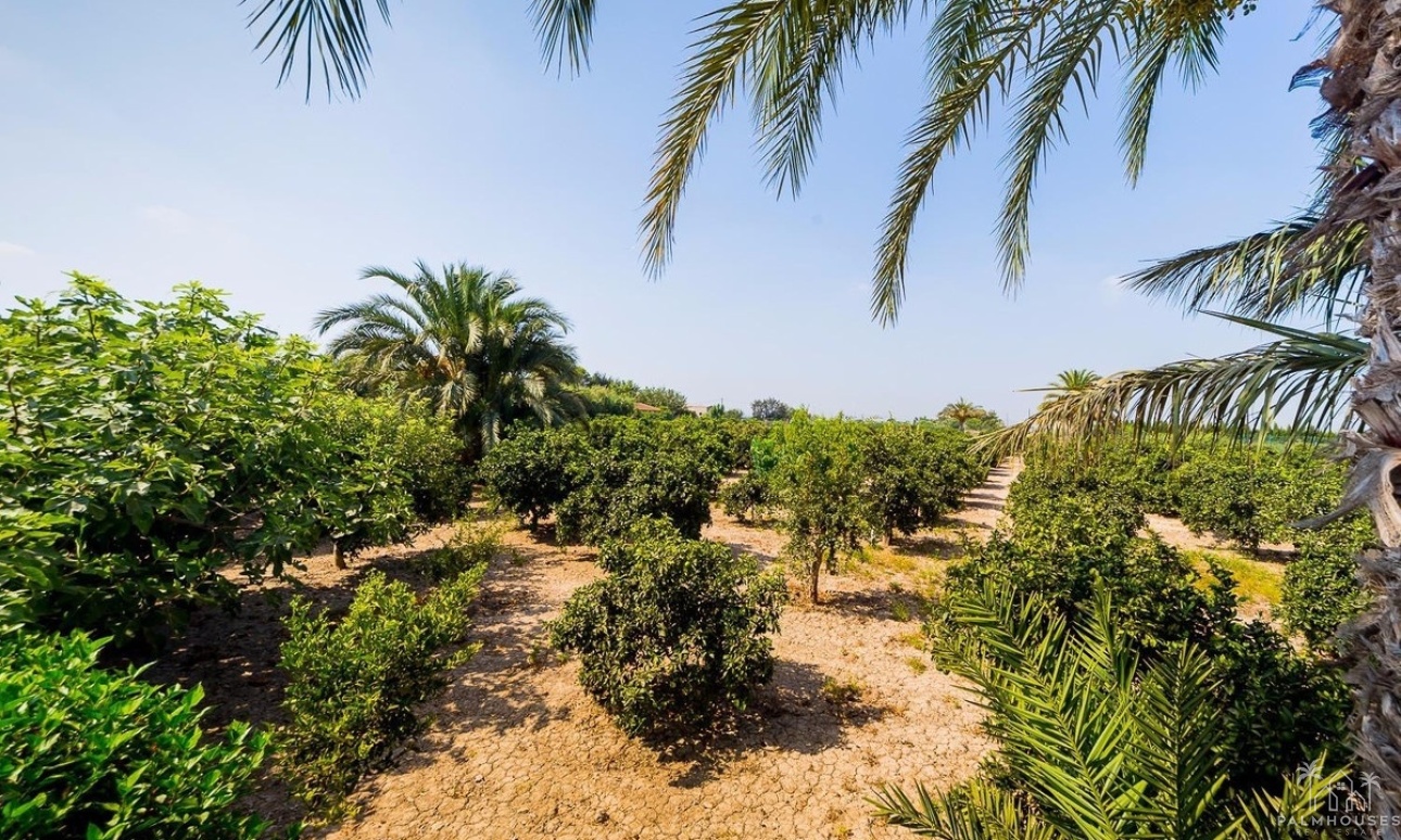 Venta - Country house - Almoradi - Almoradi Centro