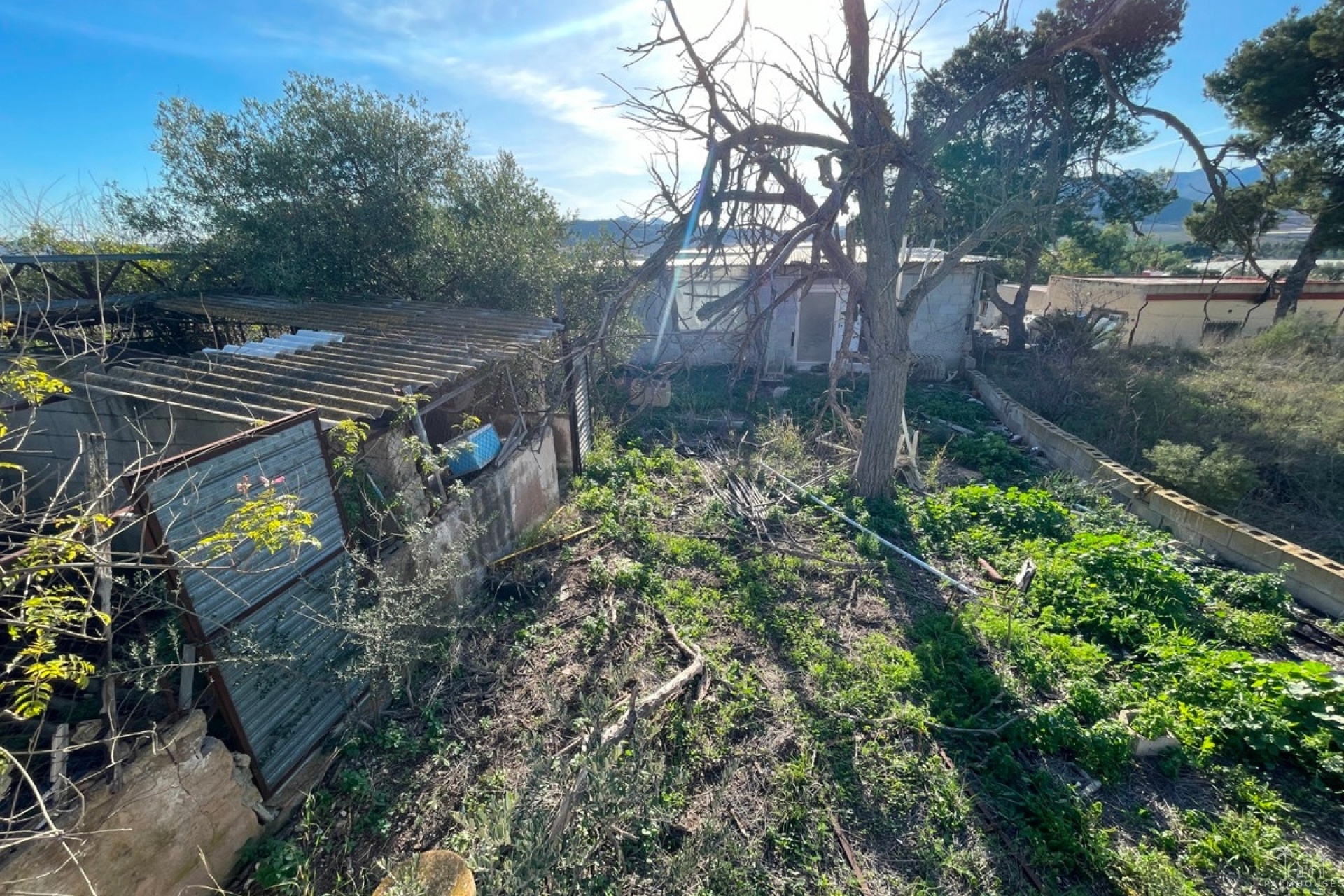 Venta - Country house - Aspe - Aspe Centro