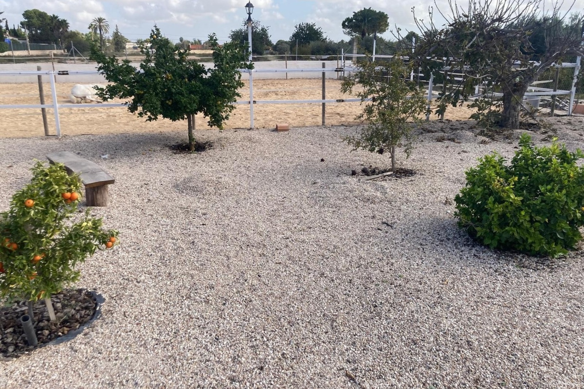 Venta - Country house - Crevillente - Crevillent - Crevillente - Crevillent Centro