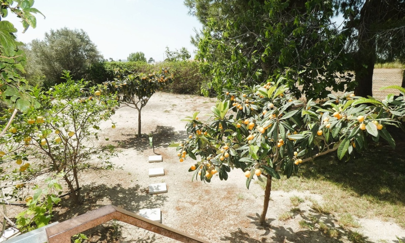 Venta - Country house - Dolores - Dolores Centro