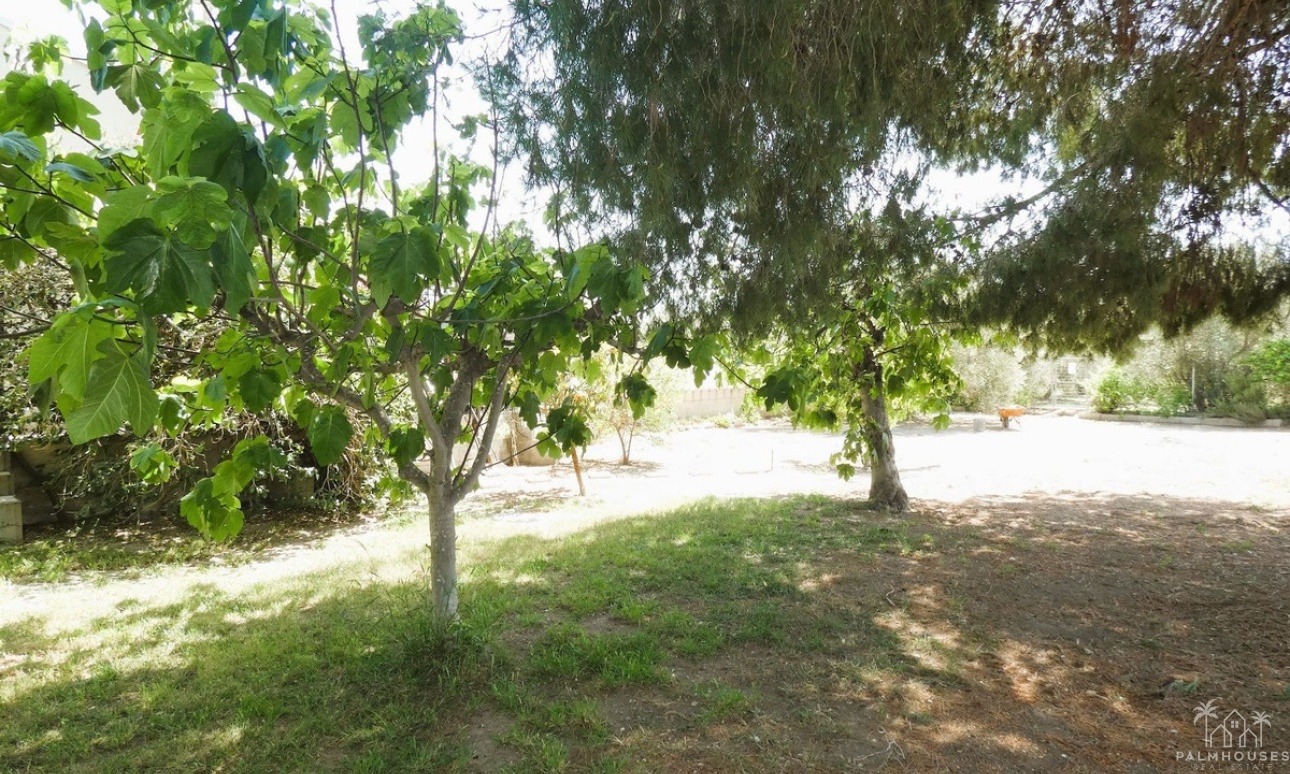 Venta - Country house - Dolores - Dolores Centro