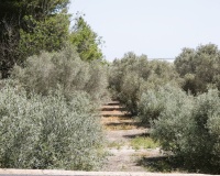 Venta - Country house - Dolores - Dolores Centro