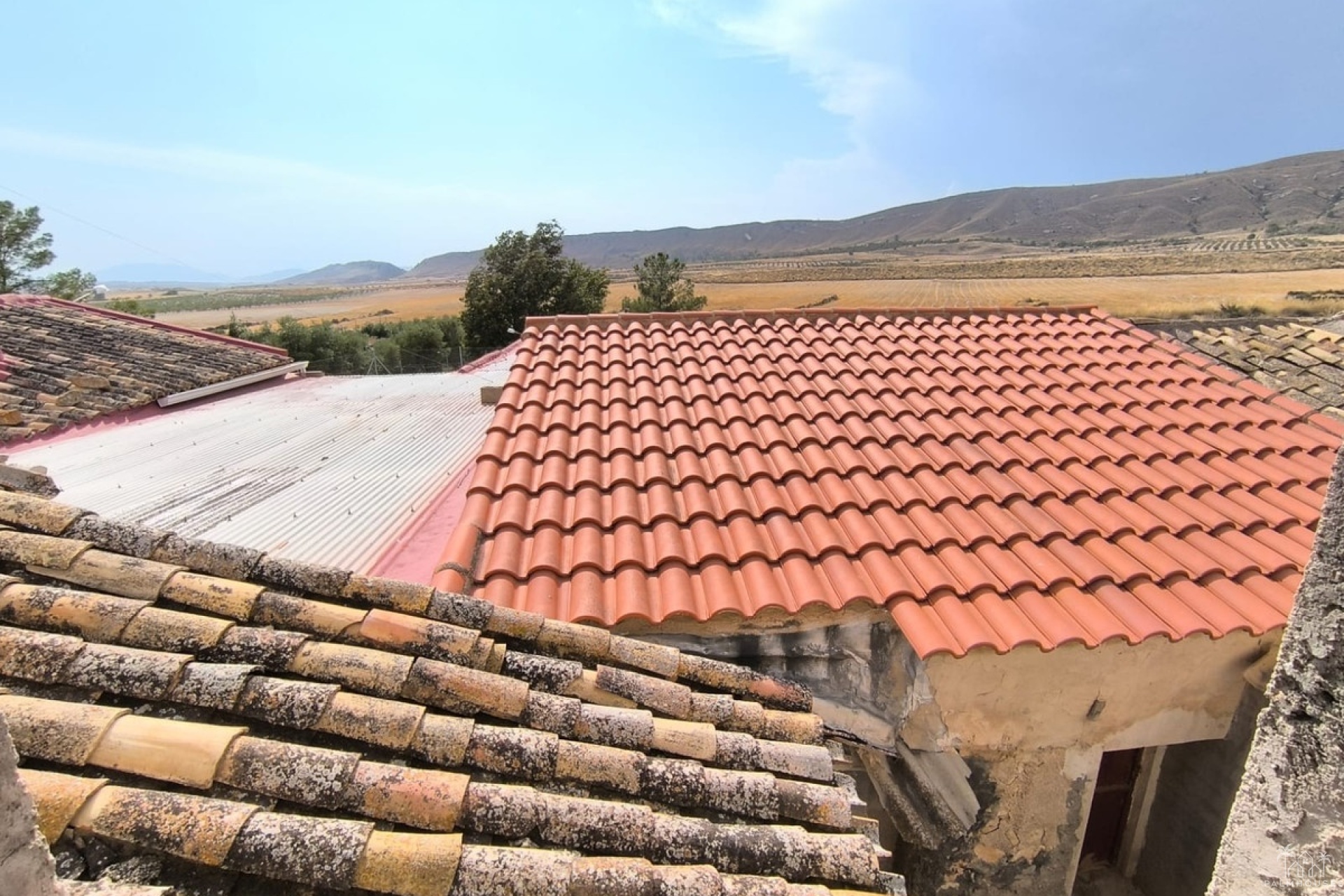 Venta - Country house - Jumilla - Jumilla Centro