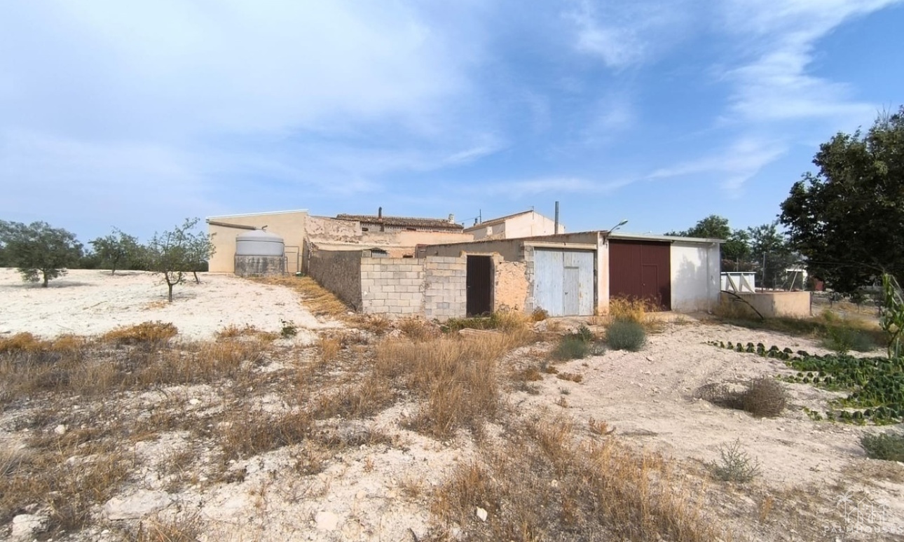 Venta - Country house - Jumilla - Jumilla Centro