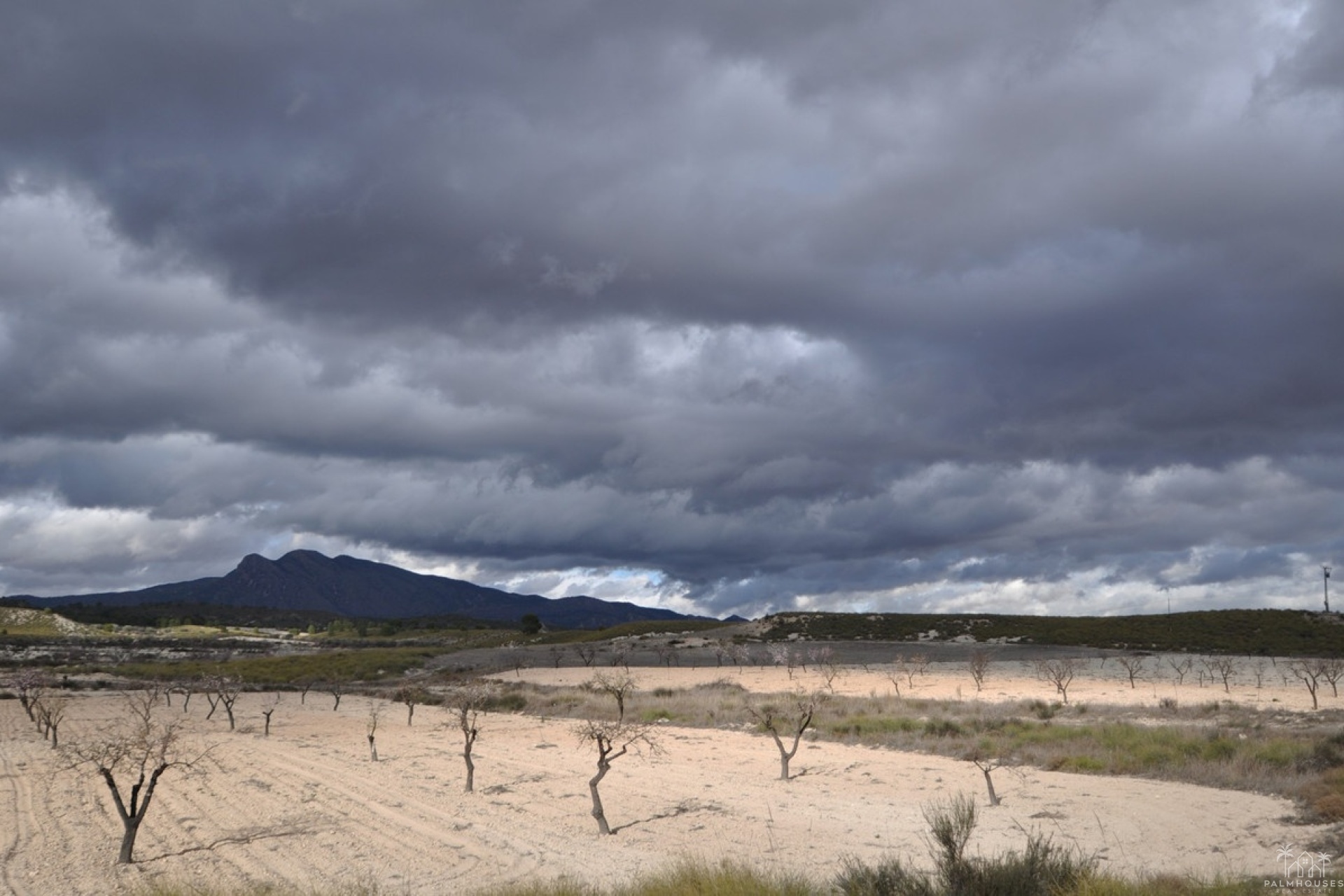 Venta - Country house - Jumilla - Jumilla Centro