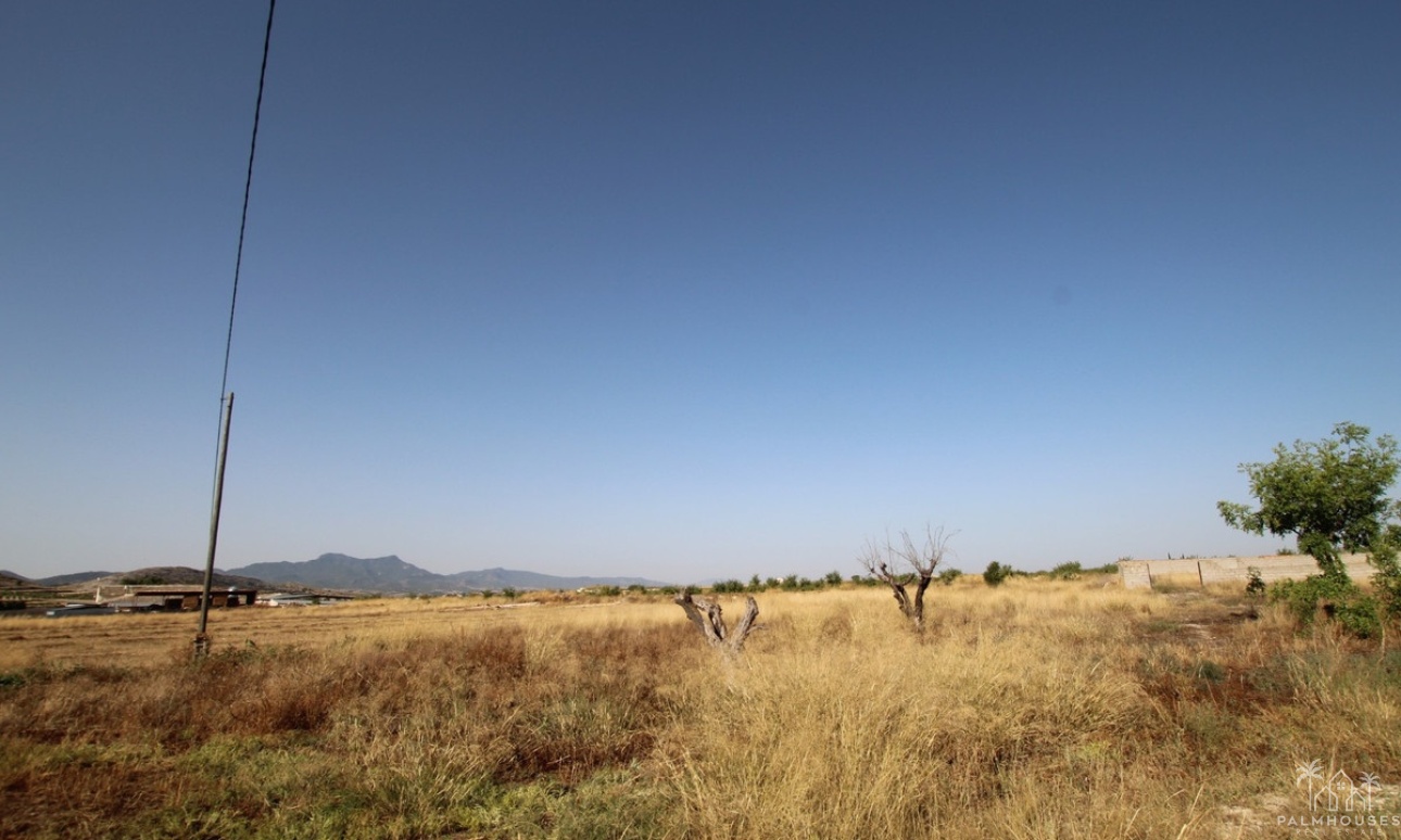 Venta - Country house - Jumilla - Torre Del Rico