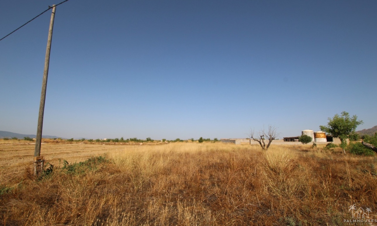 Venta - Country house - Jumilla - Torre Del Rico