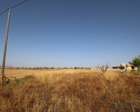 Venta - Country house - Jumilla - Torre Del Rico