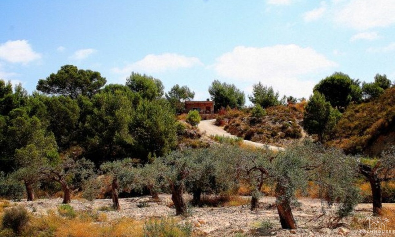 Venta - Country house - Murcia - Gea Y Truyols