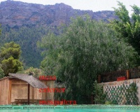 Venta - Country house - Murcia - Gea Y Truyols