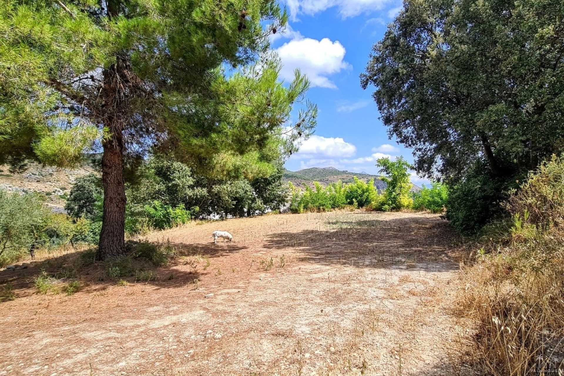Venta - Country house - Muro de Alcoy - Muro de Alcoy Centro