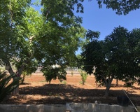 Venta - Country house - Ondara - Ondara Centro