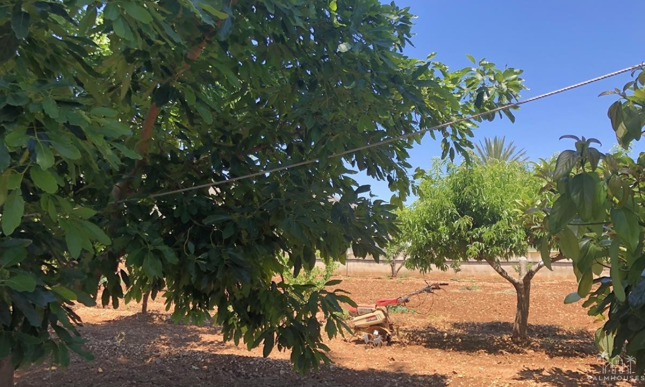 Venta - Country house - Ondara - Ondara Centro