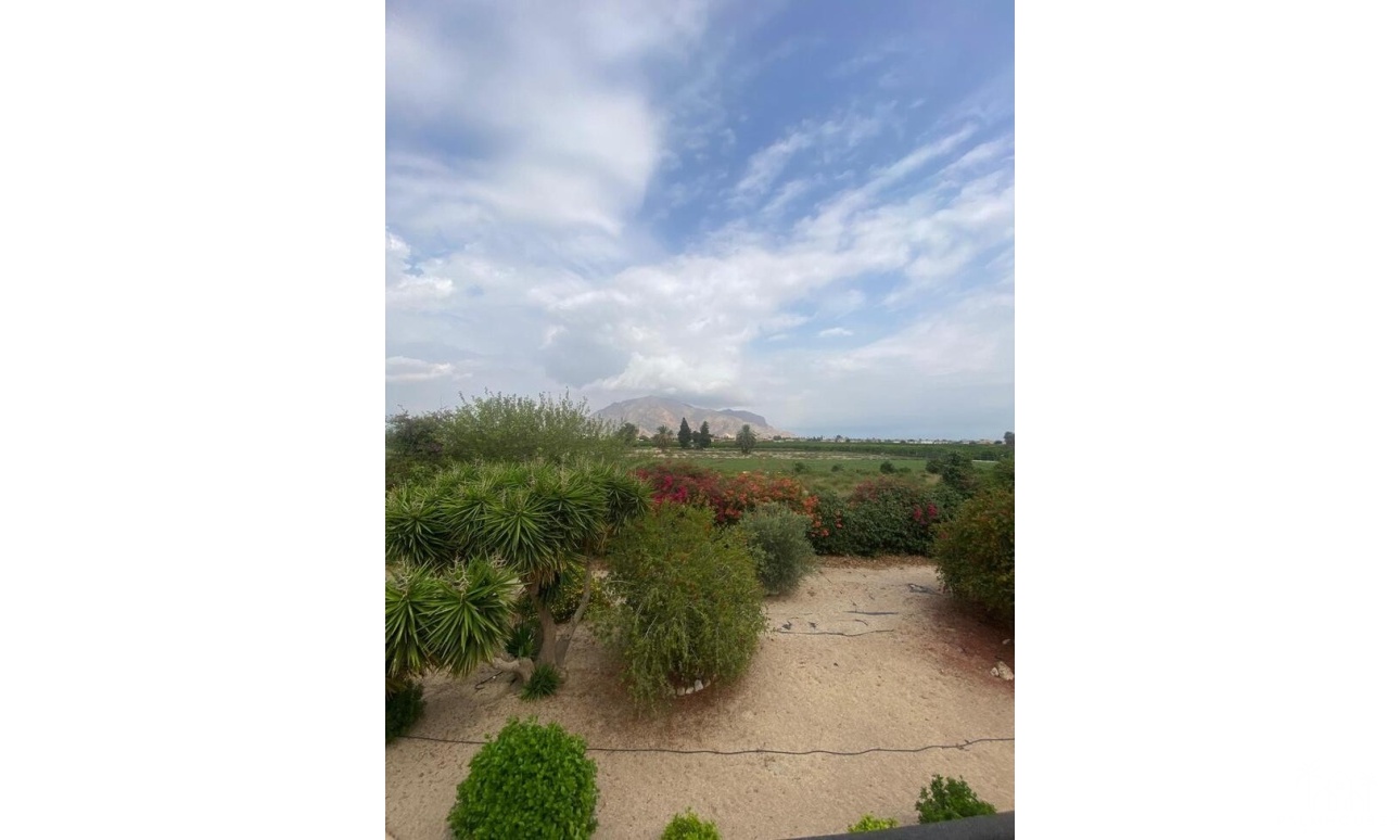 Venta - Country house - Orihuela - Orihuela Centro