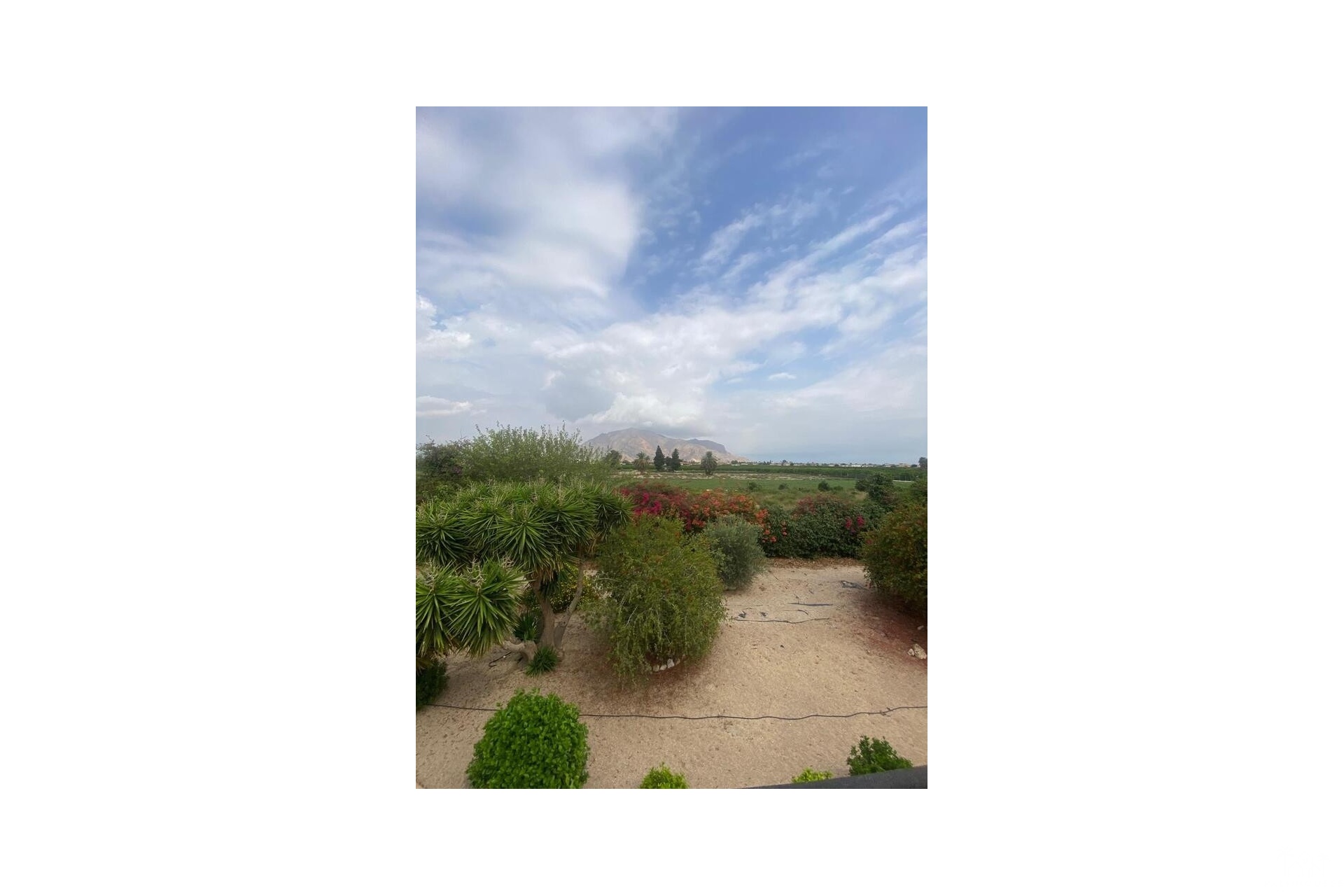 Venta - Country house - Orihuela - Orihuela Centro