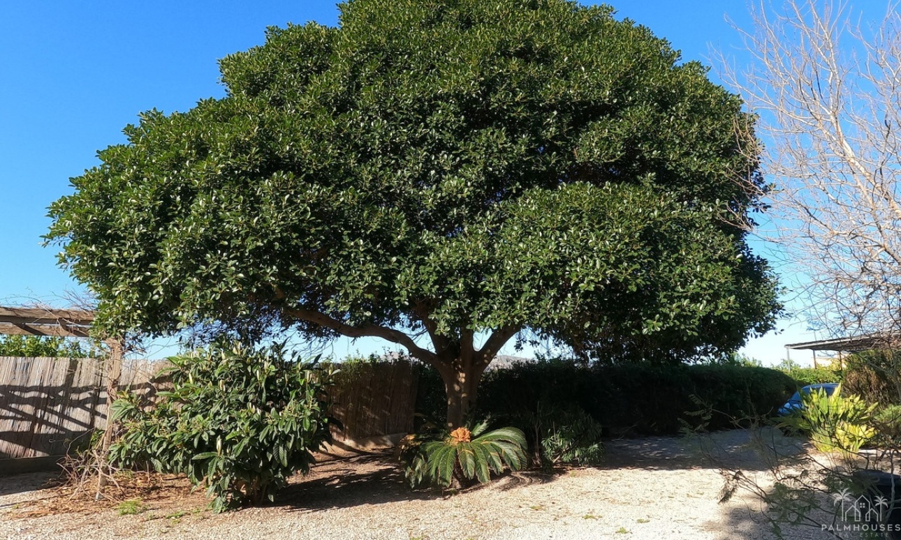 Venta - Country house - Orihuela - Orihuela Centro