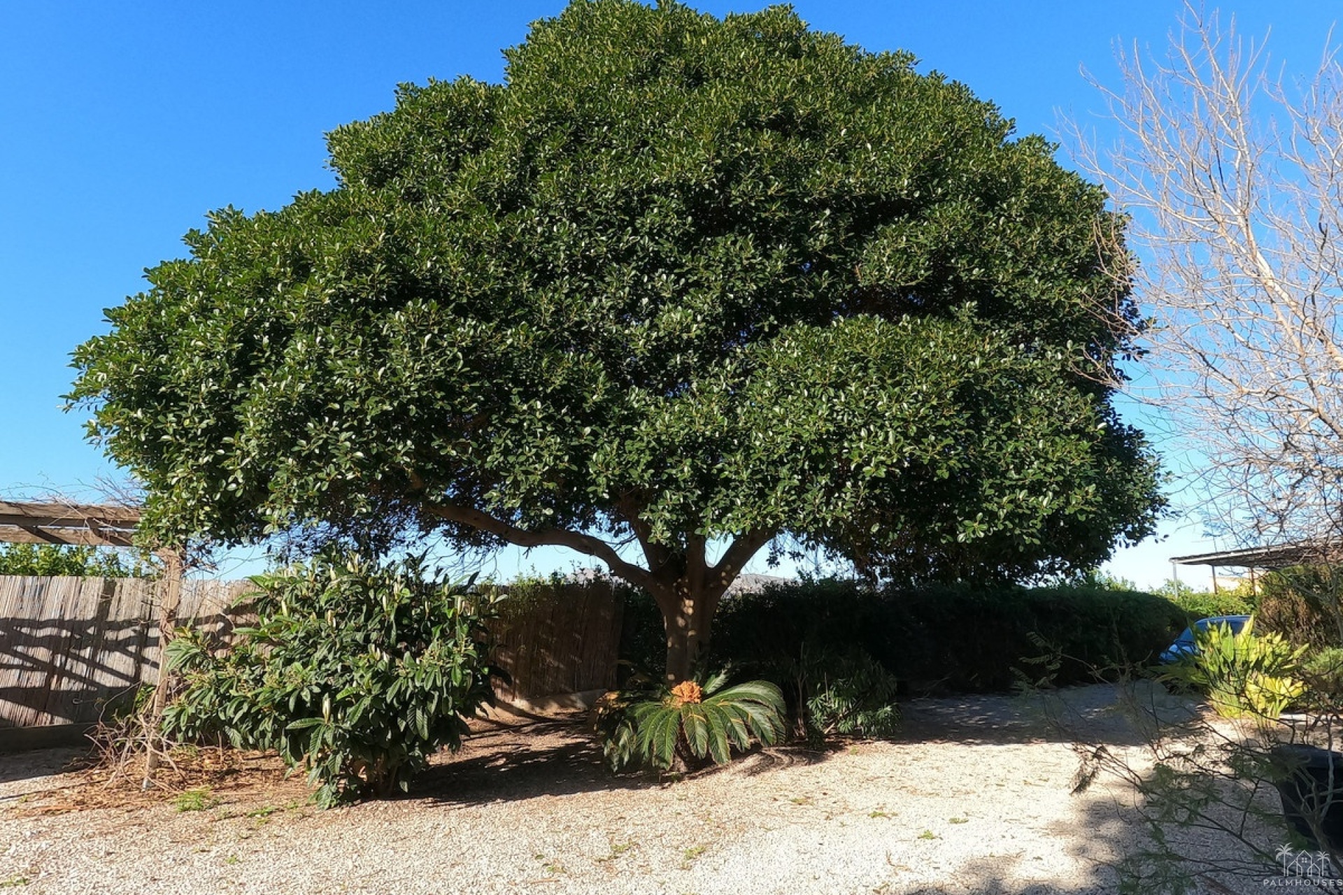 Venta - Country house - Orihuela - Orihuela Centro