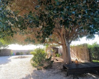 Venta - Country house - Orihuela - Orihuela Centro