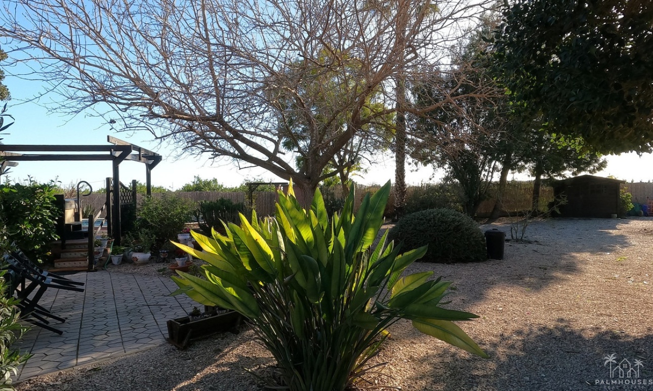 Venta - Country house - Orihuela - Orihuela Centro