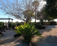 Venta - Country house - Orihuela - Orihuela Centro
