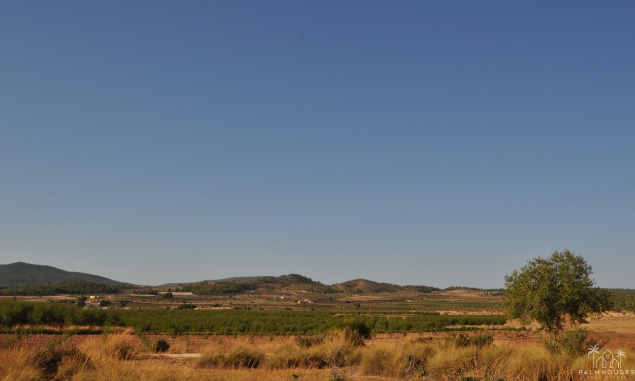 Venta - Country house - Pinoso - Pinoso Centro