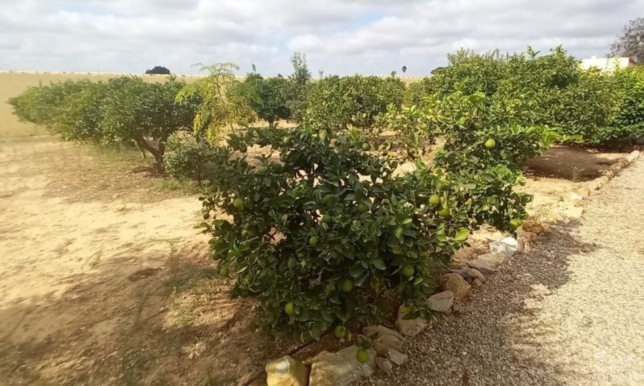 Venta - Country house - San Javier - San Javier Centro