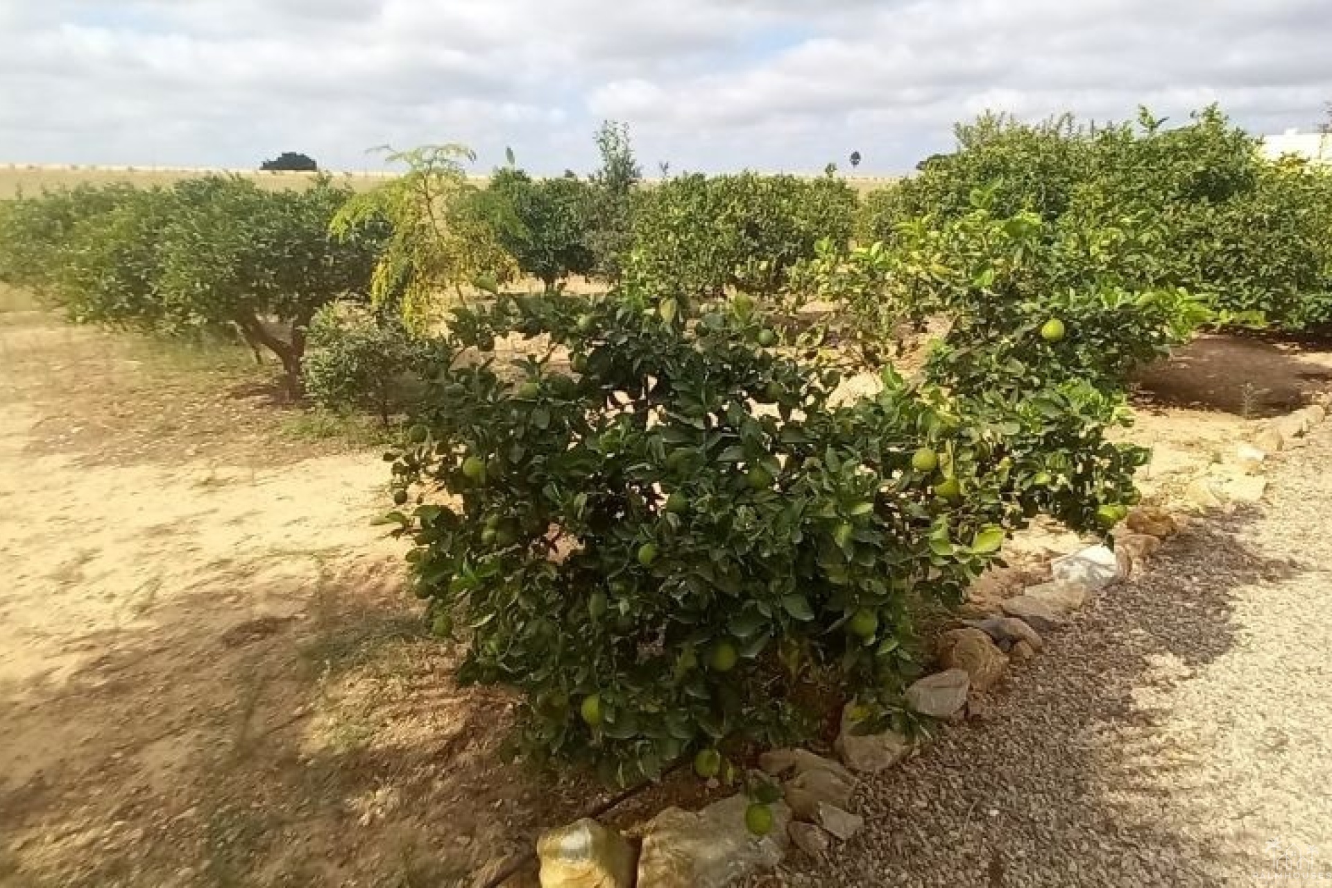 Venta - Country house - San Javier - San Javier Centro