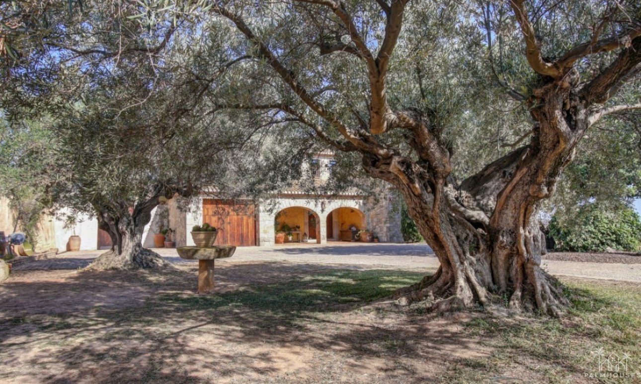 Venta - Country house - Teulada - Moraira