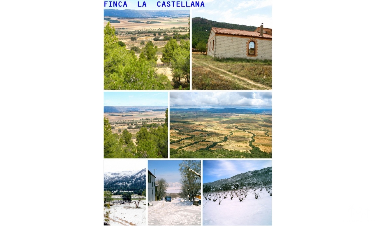Venta - Country house - Villena - La Zafra