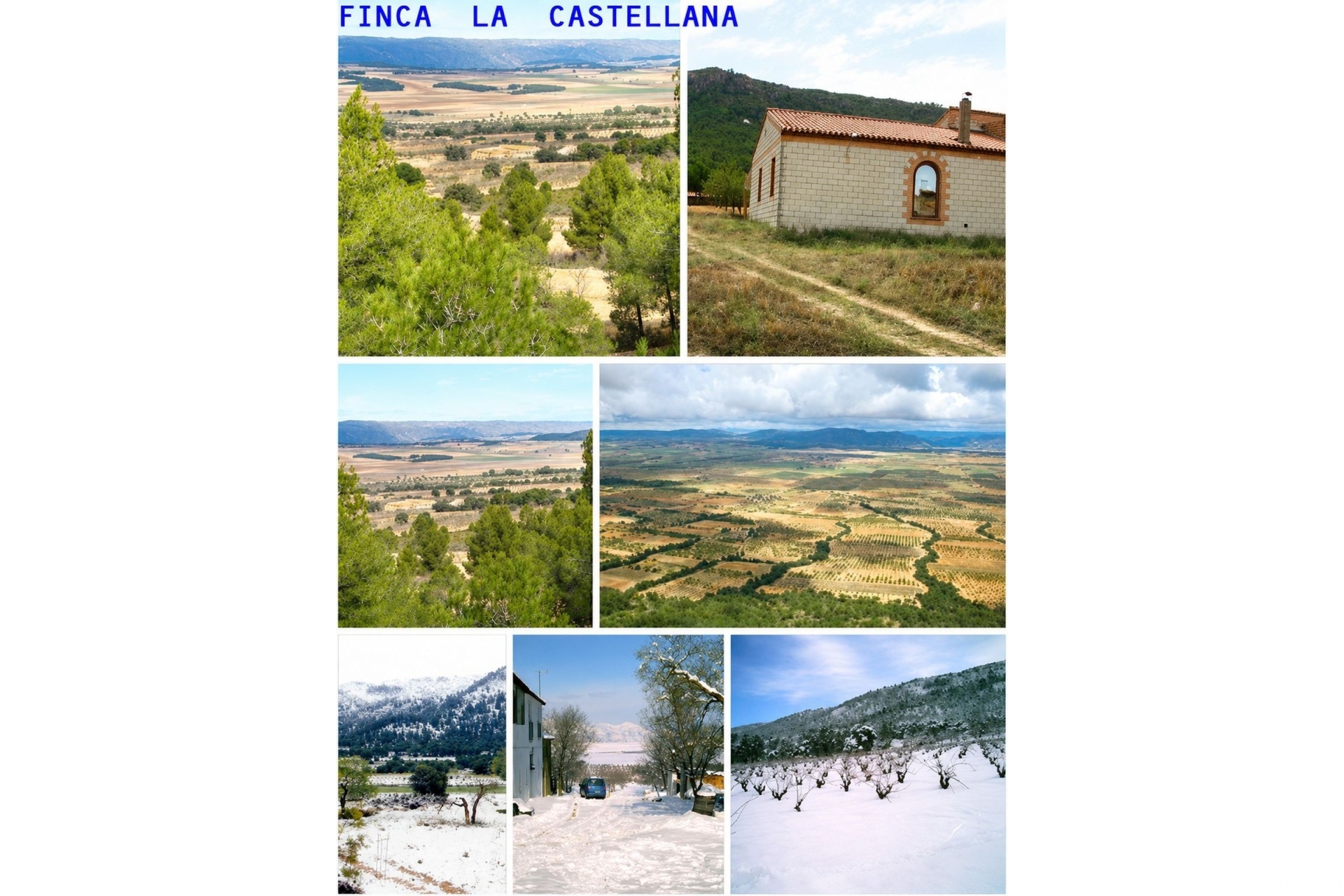 Venta - Country house - Villena - La Zafra
